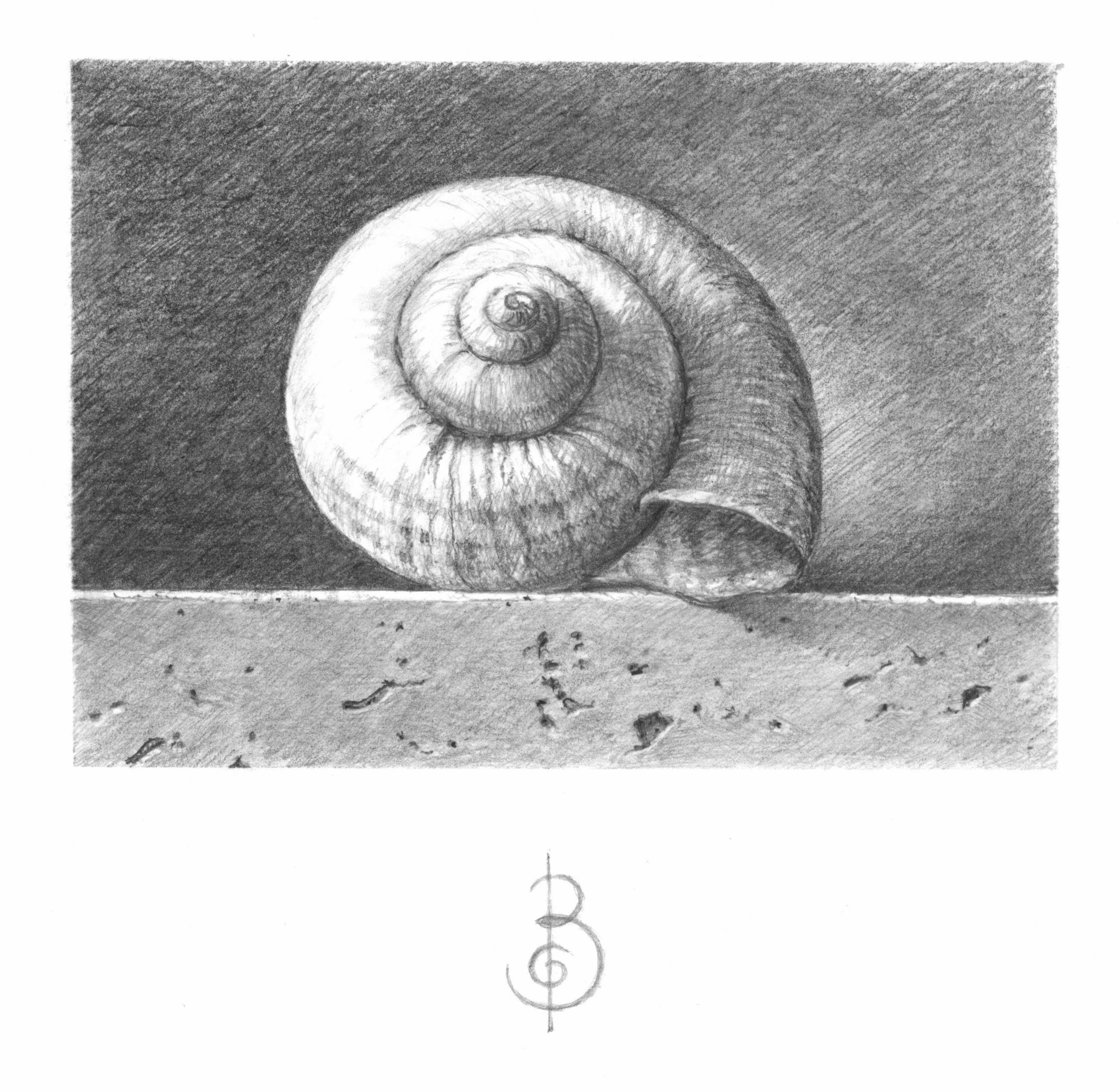 Chiocciola